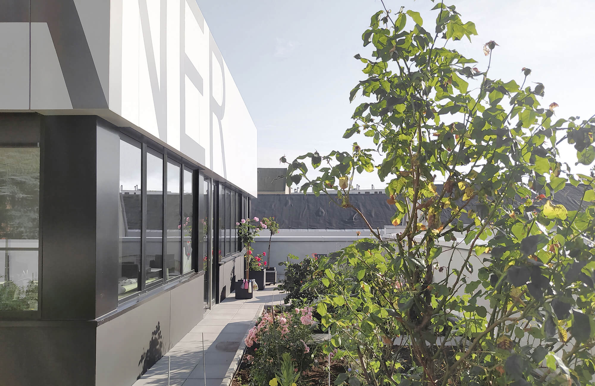 aner-siege-social-espace-activite-gaspard-saint-macary-architecte-55